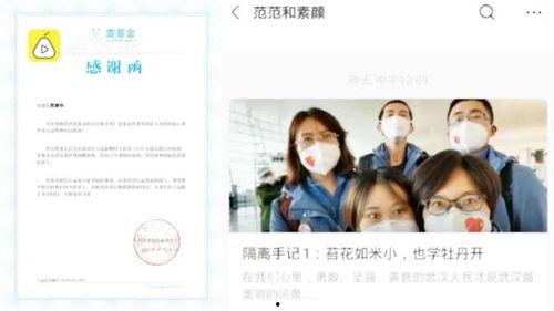 李文最新爆料新闻视频,揭秘事件背后惊人真相  第2张