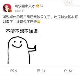 回忆卓伟爆料视频大全集,揭秘娱乐圈幕后真相