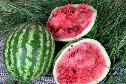 免费吃瓜网站地址,畅享海量资讯,轻松获取独家内幕 第2张 免费吃瓜网站地址,畅享海量资讯,轻松获取独家内幕 第2张