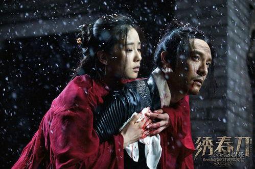 电影绣春刀在线观看,暗夜江湖，刀光剑影  第2张