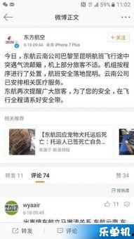 昆明今日最新爆料新闻,神秘事件引发全城热议  第3张