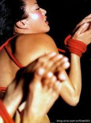 娱乐大爆料钟丽缇视频,娱乐大爆料背后的惊人真相  第2张