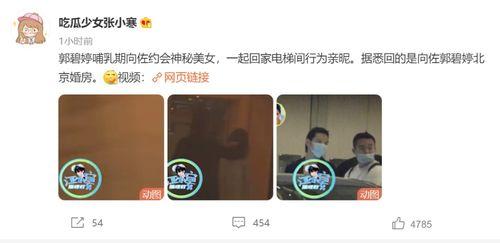 张小寒往期爆料视频大全,往期爆料视频大全精彩回顾