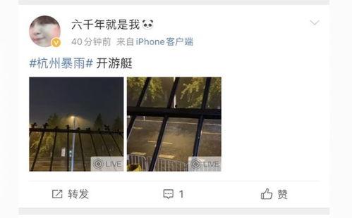 杭州视频爆料公司,揭秘城市生活背后的故事  第3张