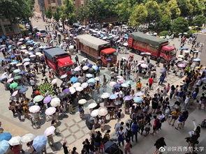 大杂院极品吃瓜日常免费,极品日常免费大放送  第3张