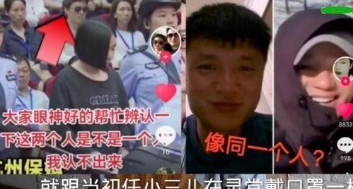 陈老师最新爆料事件真相,揭开事件真相之谜  第2张