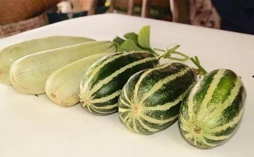 网红吃瓜免费入口,带你畅游娱乐圈幕后风云  第2张