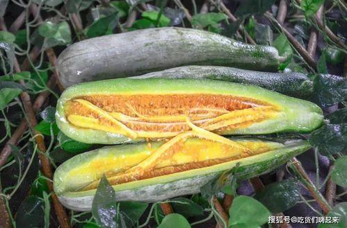 网红吃瓜免费入口,带你畅游娱乐圈幕后风云  第3张