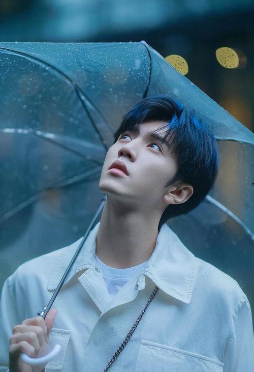 娱乐圈爆料沈月陈哲远,娱乐圈新恋情引热议