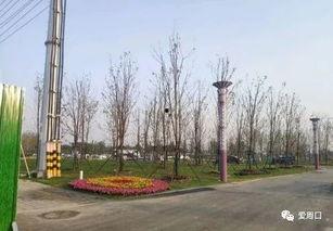 周口森林公园爆料事件视频,惊人视频揭露惊人真相  第3张