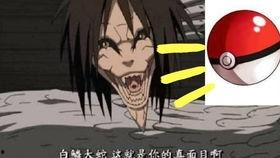 晓蛇爆料视频大全集播放,揭秘娱乐圈幕后真相