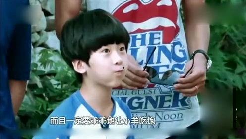 初见娱乐八卦爆料,揭秘明星幕后故事，独家爆料来袭！  第2张