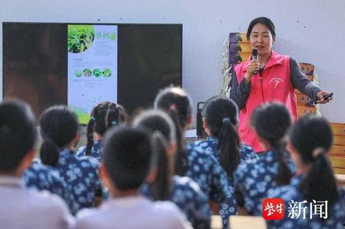 茶扎乡小学爆料新闻事件,揭开校园安全与教育监管的隐忧