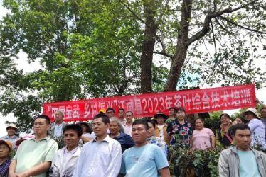 茶扎乡小学爆料新闻事件,揭开校园安全与教育监管的隐忧  第3张