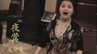 夜莺在线观看,穿越时空的旋律之旅  第2张