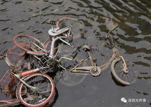 自行车穿越作假爆料视频,视频曝光惊人内幕