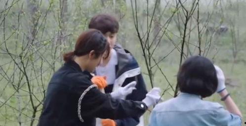 圈内爆料张艺兴和杨紫,幕后故事曝光引热议  第3张