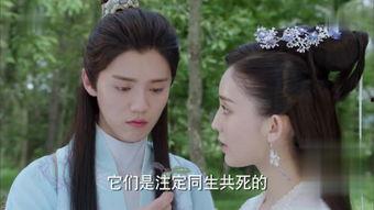 择天记免费在线观看,穿越奇幻世界，共赴青春冒险之旅  第2张