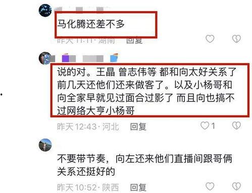 小杨哥最新爆料新闻,揭秘娱乐圈最新劲爆新闻