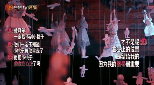 人形木偶 在线观看,探寻神秘魅力的奇幻之旅  第3张