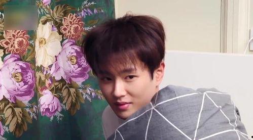 娱乐圈吃瓜爆料范丞丞,揭秘明星背后的故事  第2张