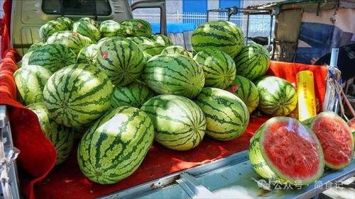 江阴网红吃瓜事件真相,揭秘背后真相与反思 第3张 江阴网红吃瓜事件真相,揭秘背后真相与反思 第3张