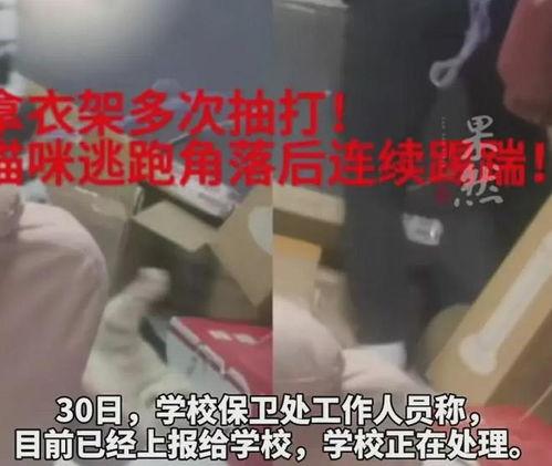 吃瓜最新事件爆料教师视频,吃瓜群众揭秘教育界惊人内幕  第3张