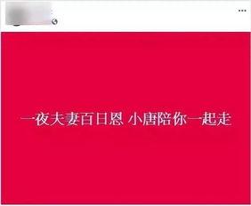 爆料吃瓜媒体隐私视频下载,吃瓜媒体隐私视频下载事件深度解析  第3张