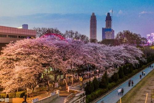 抖音网红吃瓜 入口在哪,入口之谜，带你一探究竟  第2张