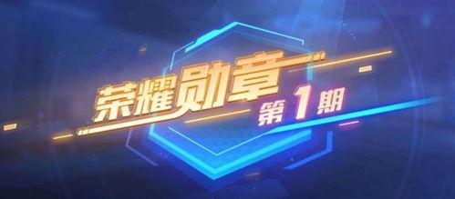 最新勋章服装爆料视频,炫酷设计，彰显荣誉与风采  第2张