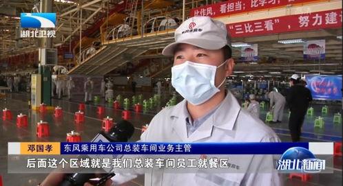 湖北新闻爆料节目,聚焦民生热点，揭示社会真相