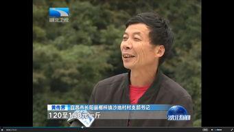 湖北新闻爆料节目,聚焦民生热点，揭示社会真相  第3张