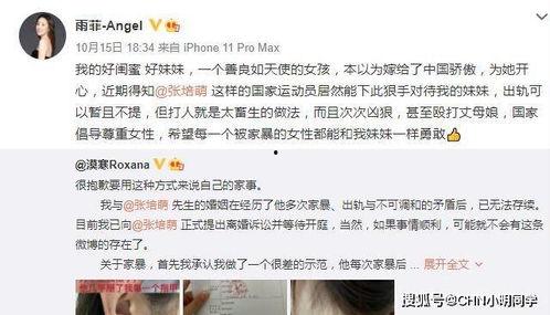 文安何小姐前夫爆料视频,真相与争议并存  第2张