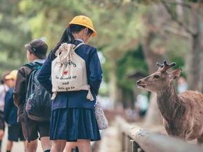 小鹿弟弟爆料了吗视频在线观看,揭秘视频背后的精彩瞬间