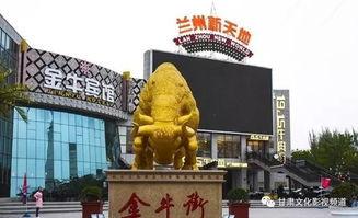 兰州金牛街爆料事件最新,真相与争议交织的街头风云  第3张