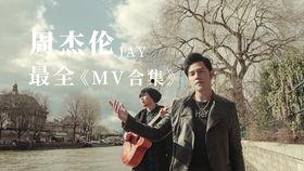 小董近日爆料视频大全最新,揭秘娱乐圈幕后真相