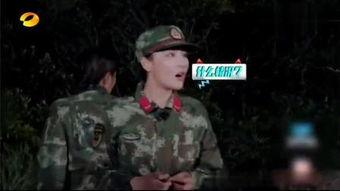 待避在线观看,揭秘在线观看背后的精彩故事