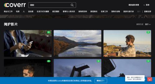 爆料盘点视频素材网站,盘点爆料中的热门资源与技巧