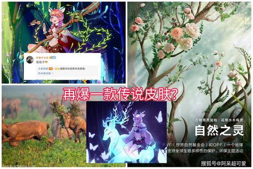 瑶瑶新皮肤爆料视频,炫酷特效引期待！