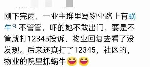 吃瓜群qq群免费,免费畅享娱乐盛宴的神秘世界