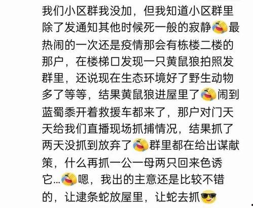 吃瓜群qq群免费,免费畅享娱乐盛宴的神秘世界  第2张