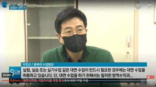 在线观看面对面韩国,深度解析韩国文化与社会现象