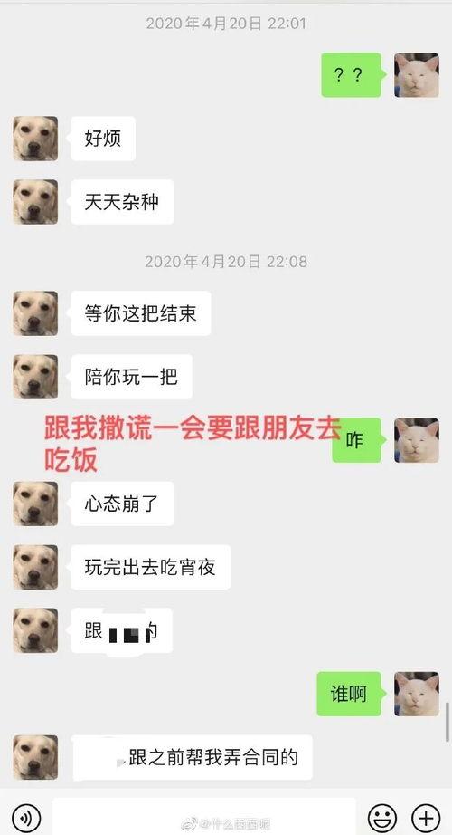 小虎和前女友爆料视频,真相与情感纠葛全解析