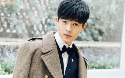 刘昊然天涯真实爆料视频,娱乐圈背后的真实故事