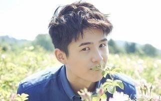 刘昊然天涯真实爆料视频,娱乐圈背后的真实故事  第2张