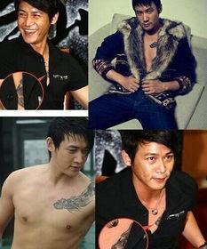 爆料陆毅纹身视频,揭秘明星背后的故事  第2张