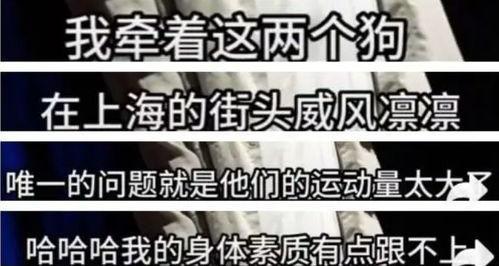 重庆魏先生最新爆料  第2张