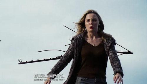 梅利莎在线观看完整版,揭秘网络直播背后的传奇人生