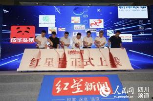 红星新闻爆料环境道路,环境道路问题引发关注