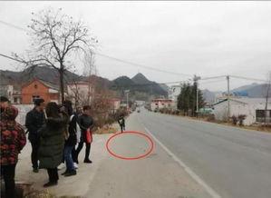 红星新闻爆料环境道路,环境道路问题引发关注  第2张